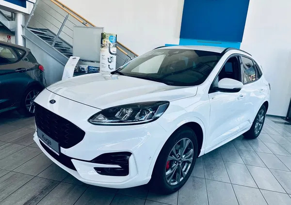 ford kuga miłomłyn Ford Kuga cena 142900 przebieg: 4, rok produkcji 2024 z Miłomłyn